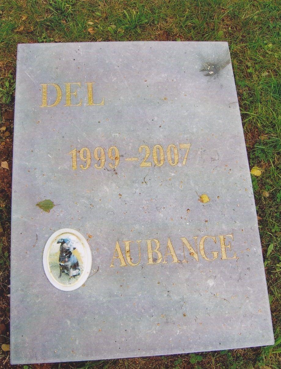 R.I.P.