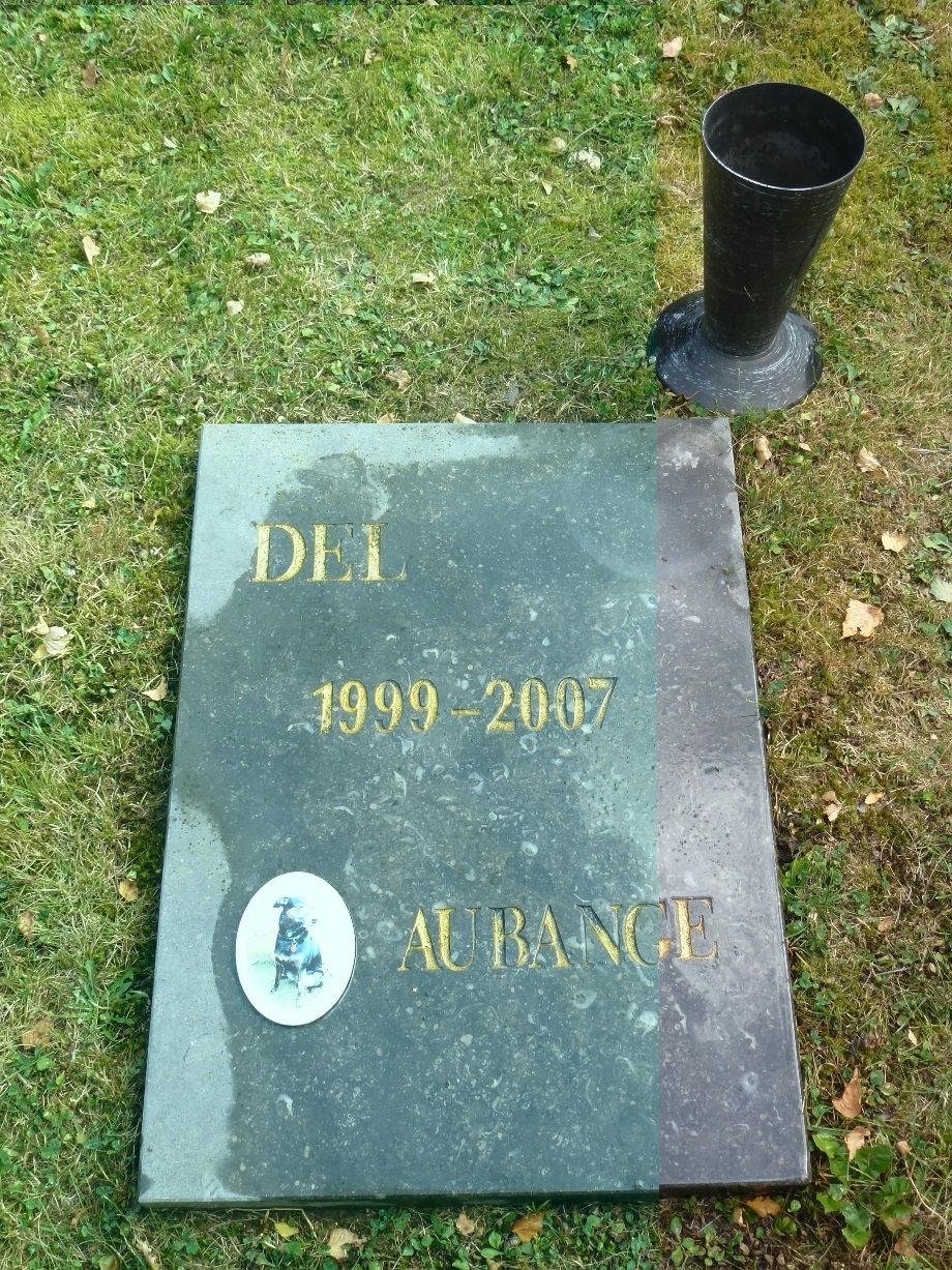 Del